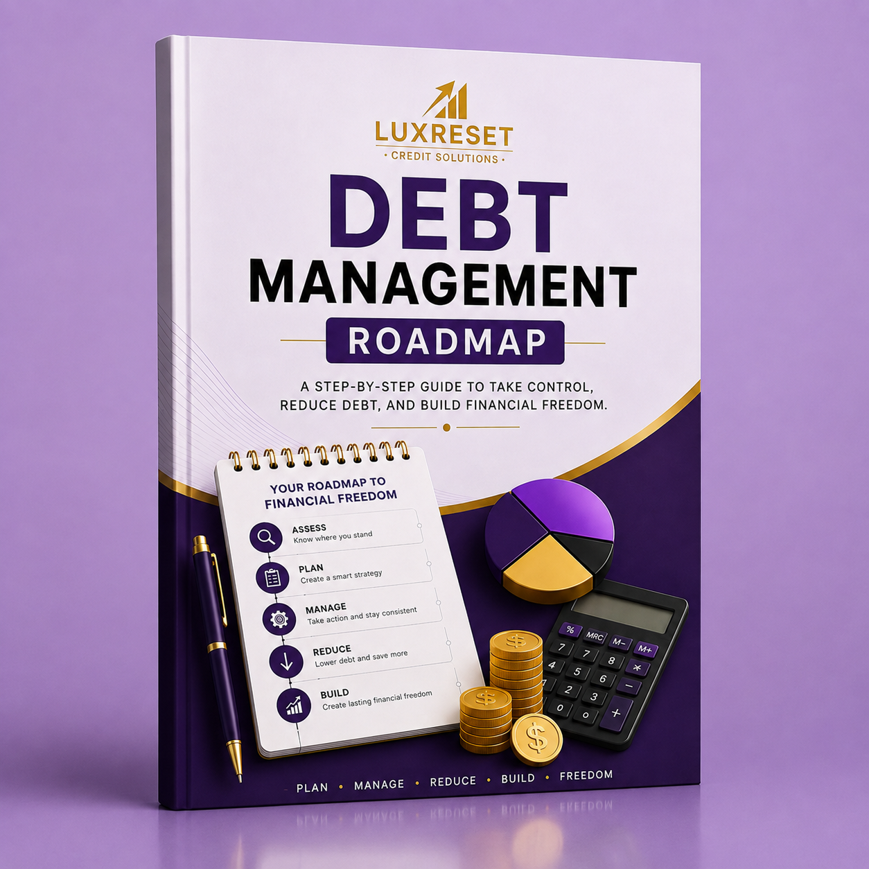 Debt Management Roadmap